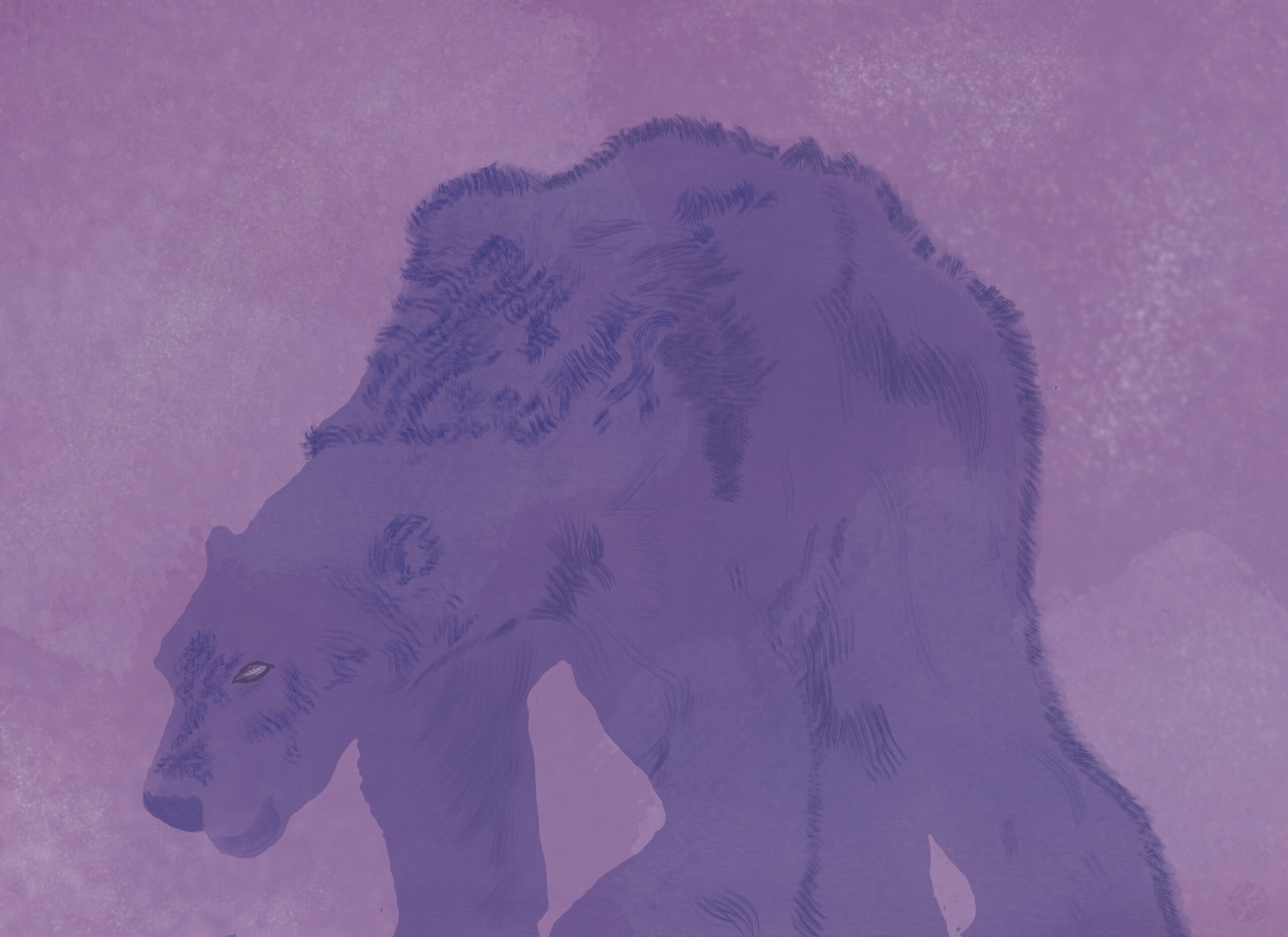 stylized image of polar bear, thin and starving, translucent blue over pink