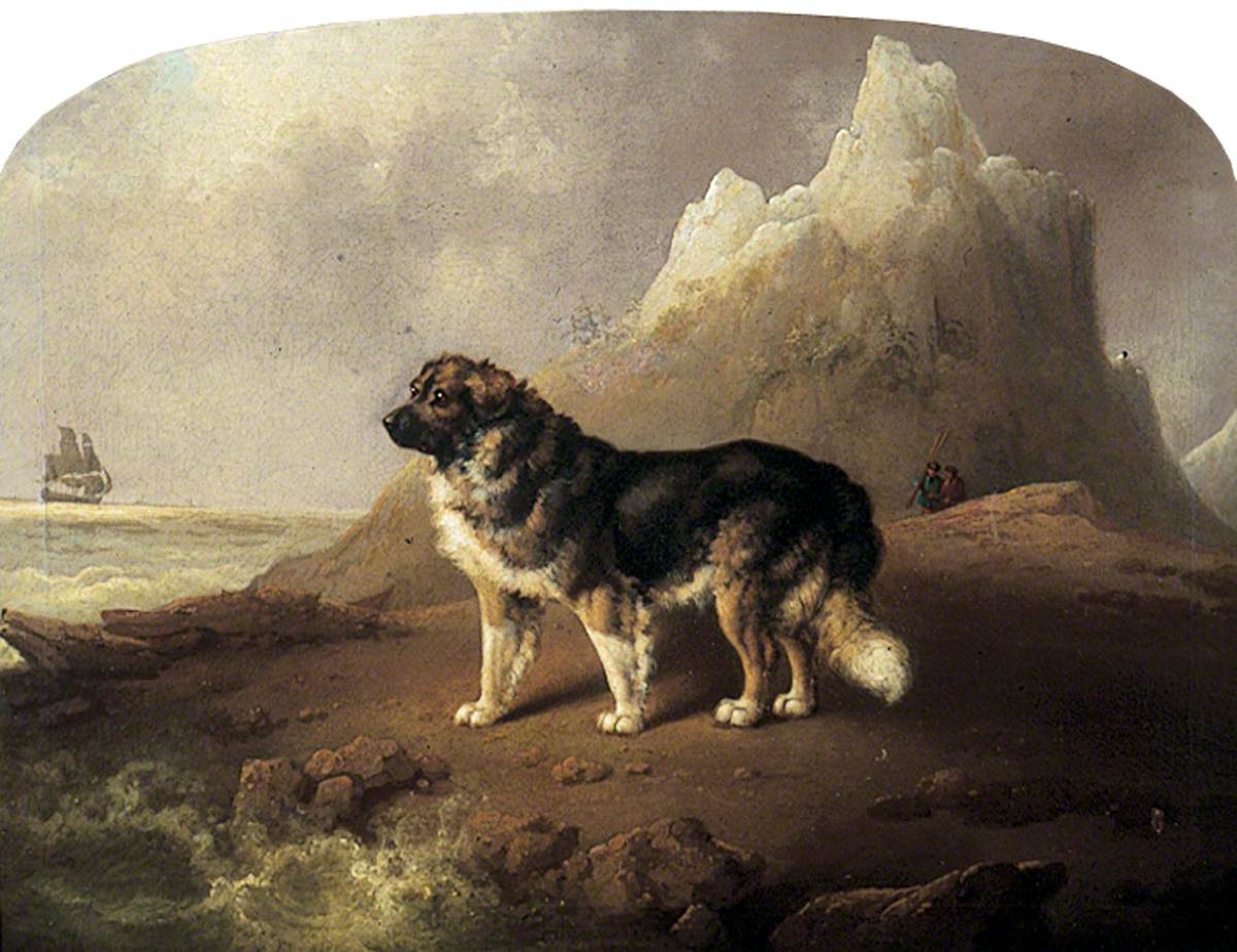 painting of a large black and white dog standing at the seaside, with a ship, a cliff, and two very small people in the background